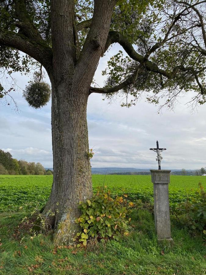 Le Petit Chapeau Bed and Breakfast Durbuy Buitenkant foto