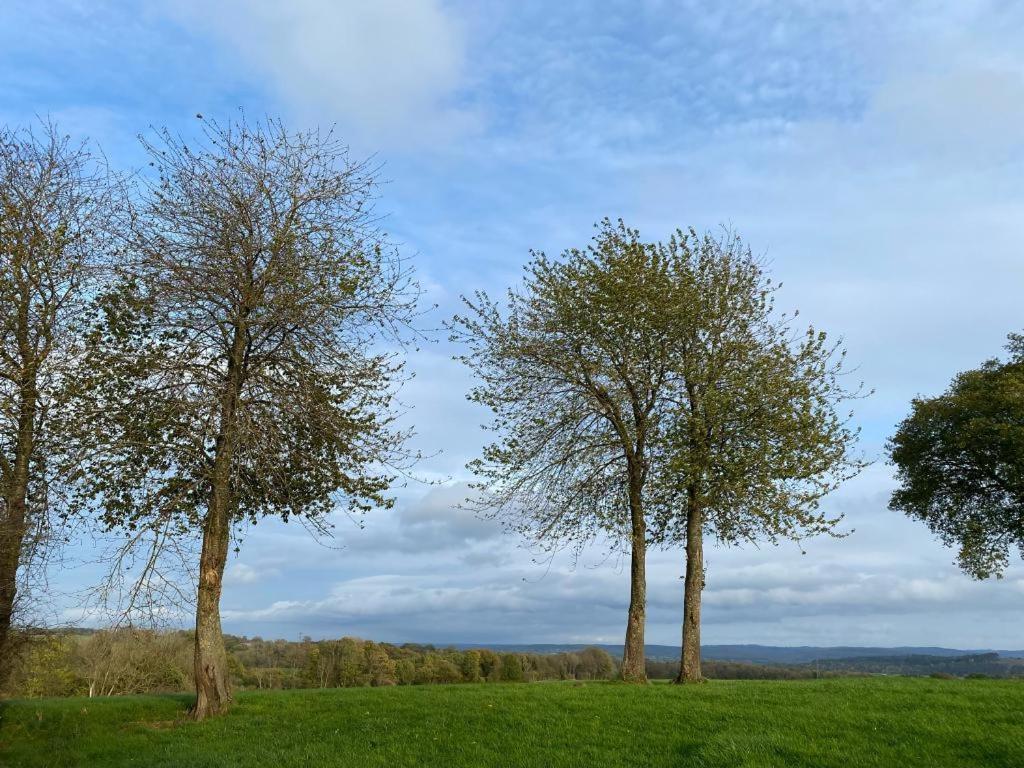 Le Petit Chapeau Bed and Breakfast Durbuy Buitenkant foto